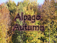 Autumn in Alpago