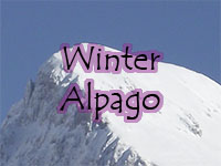 Winter Alpago